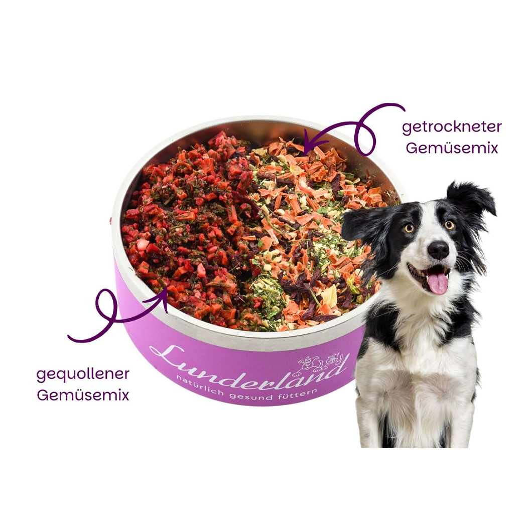 Hunde-Futter, Gemüsemix, getrockneter Mix, Schüssel Futtermittel, Lunderland Naturkost?