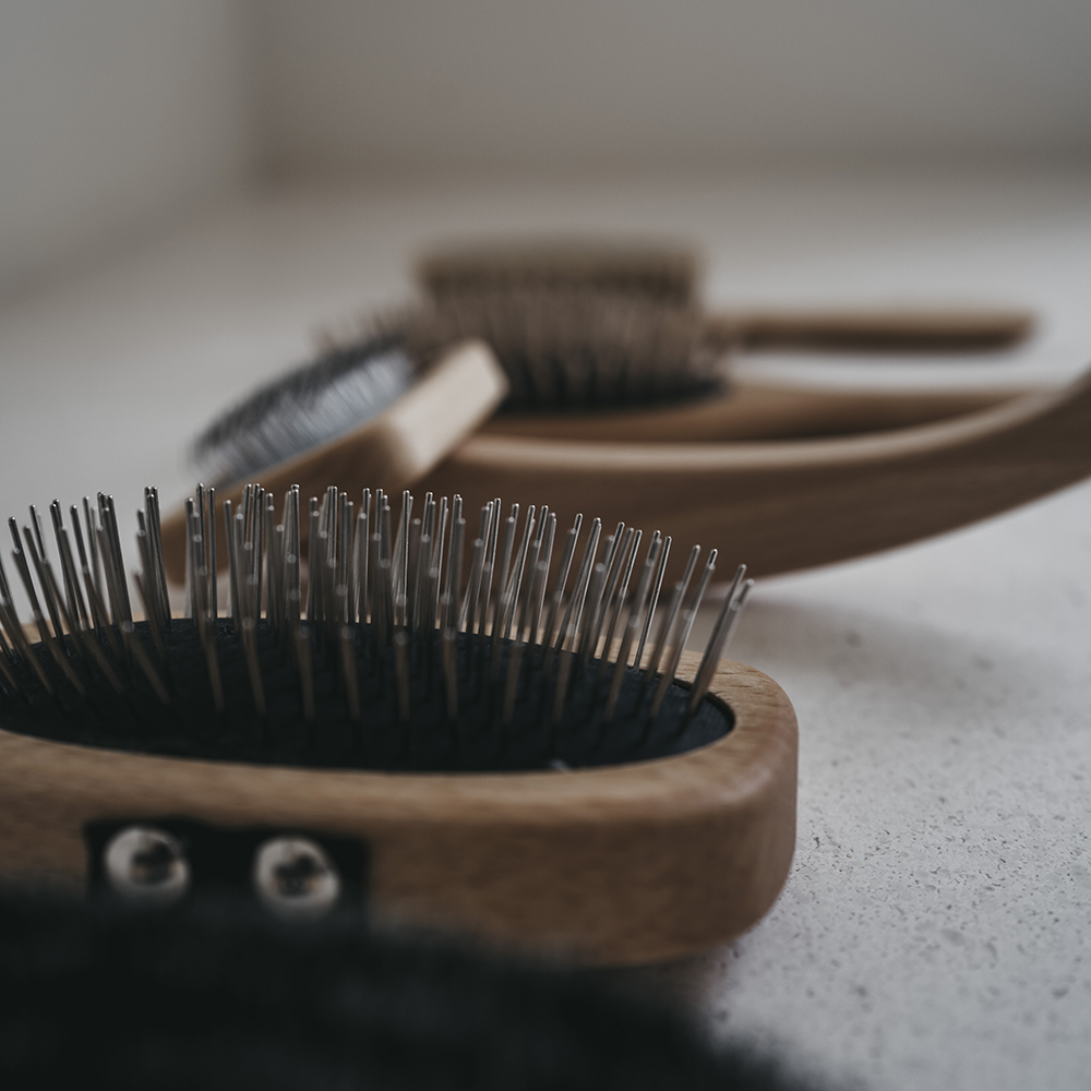 Pinsel, Gerät, Werkzeug