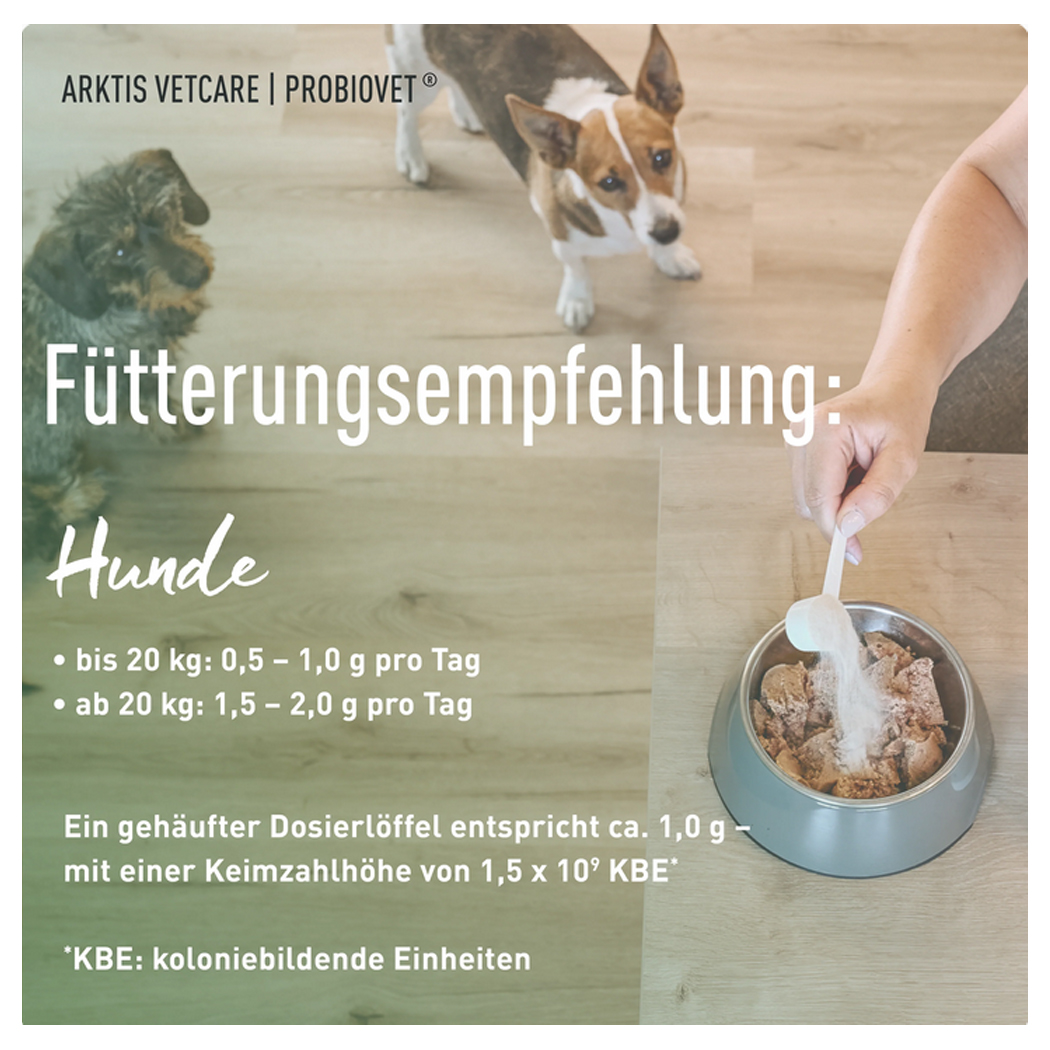 Futterempfehlung, Hundeeinrichtung, Haustierfutter, Tierfutter, Dosierlöffel