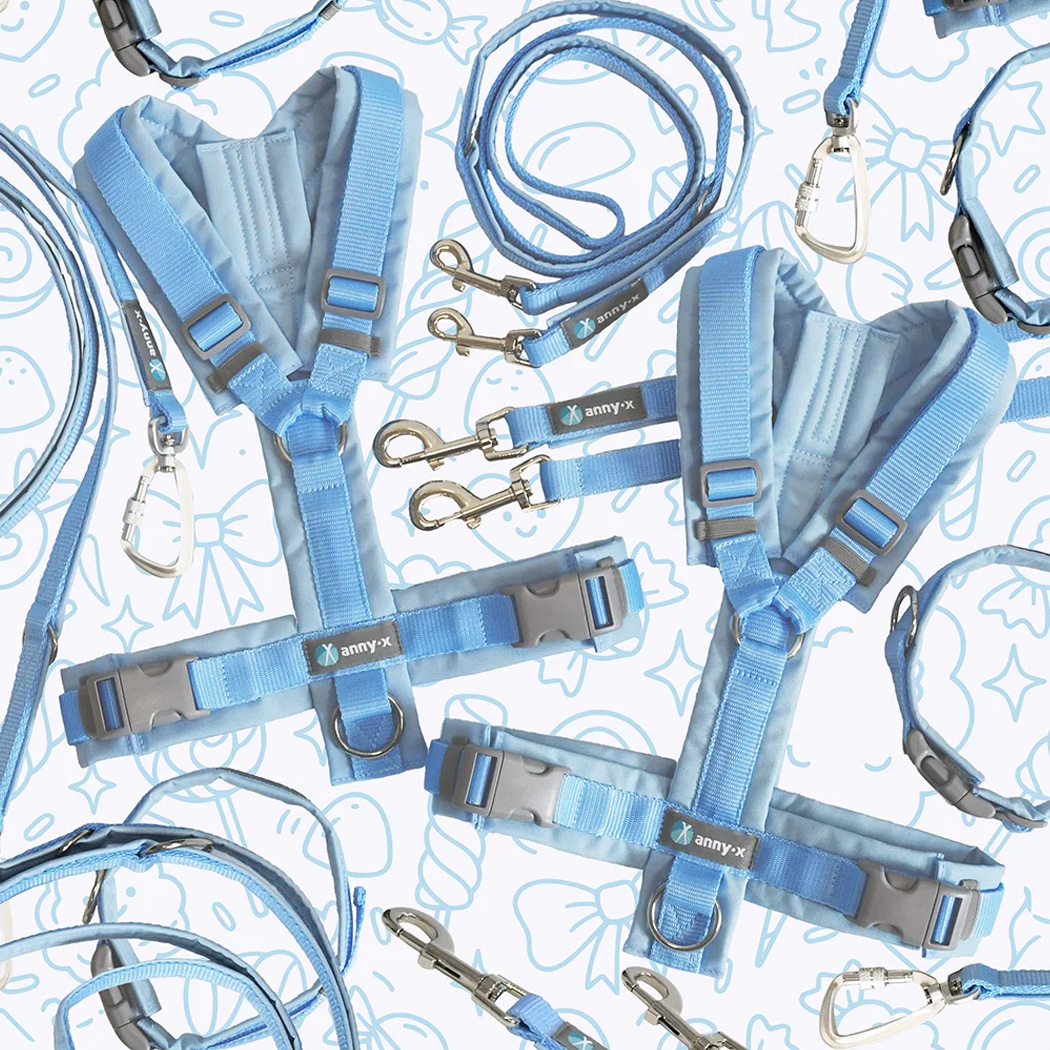 harness Hund, Leine, verstellbare Gurte, blau, Metallbeschläge
