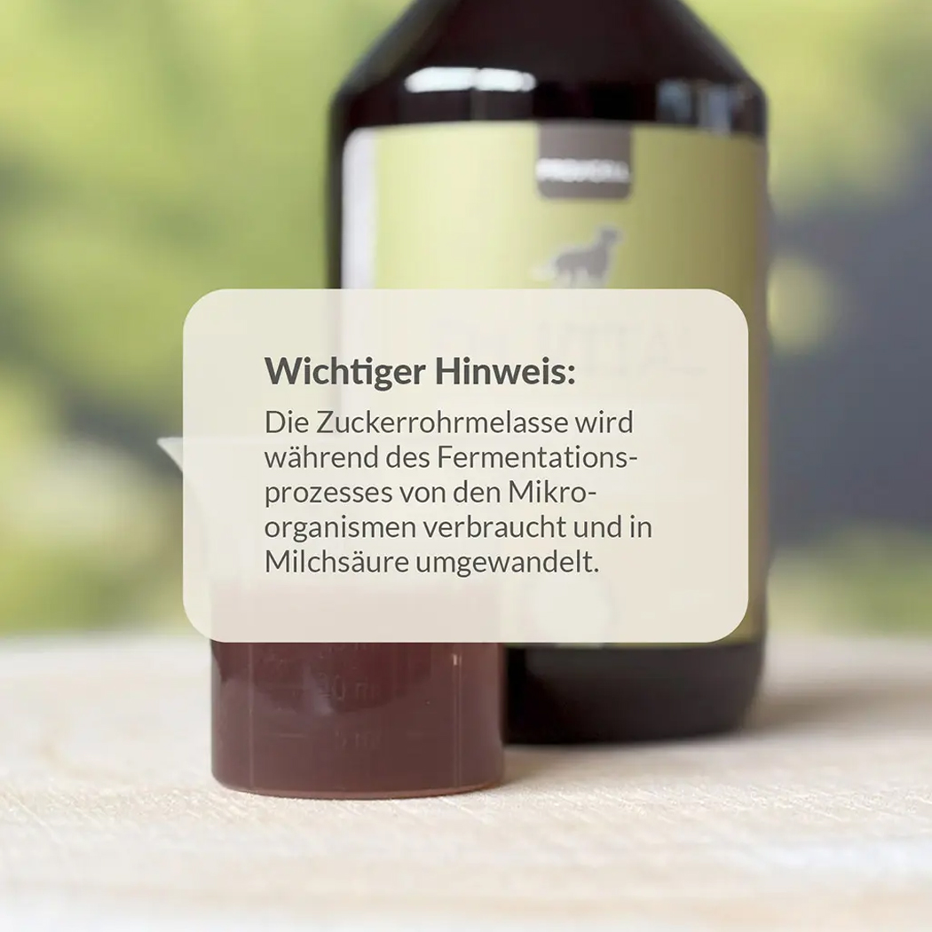 Braune Flasche, Fermentiertes Produkt, Zuckerrohrmelasse, Flüssigprodukt
