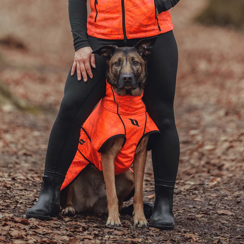 Hundepullover, Gehoutfit, Reflektierendes Orange, Hundeweste, Outdoor-Mantel