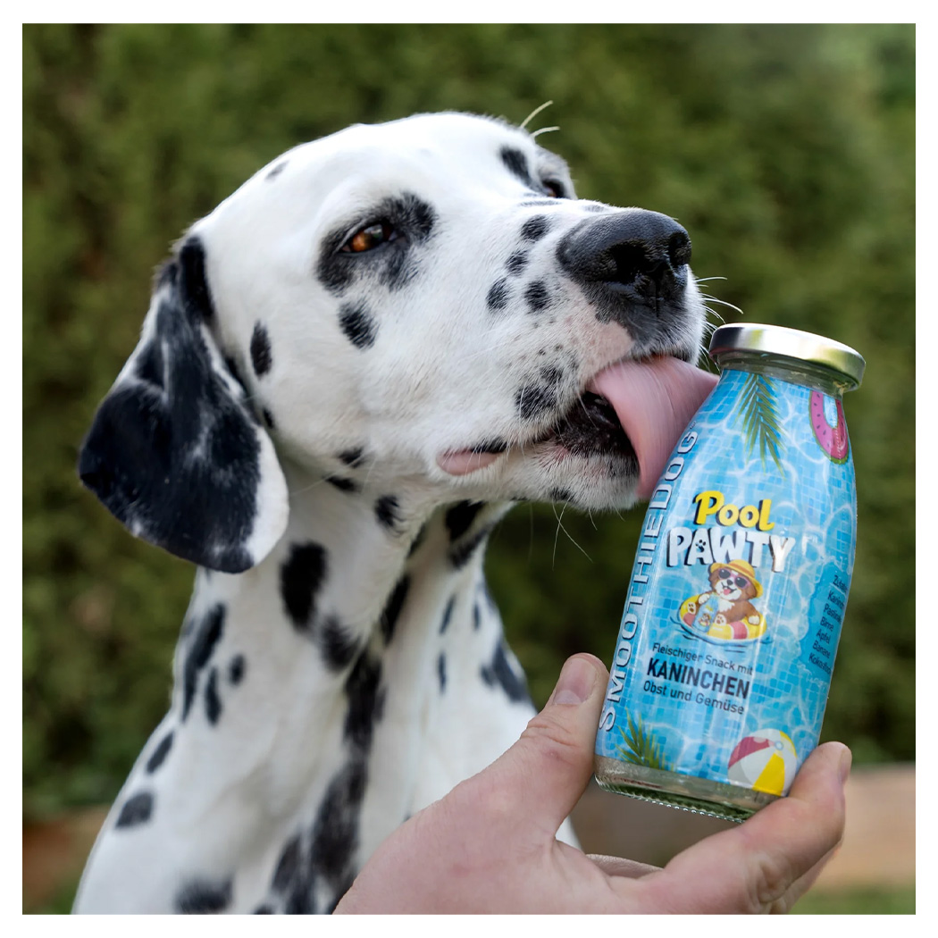 Dalmatian, Hund, Canine, Lecker-Snack, Kauartikel