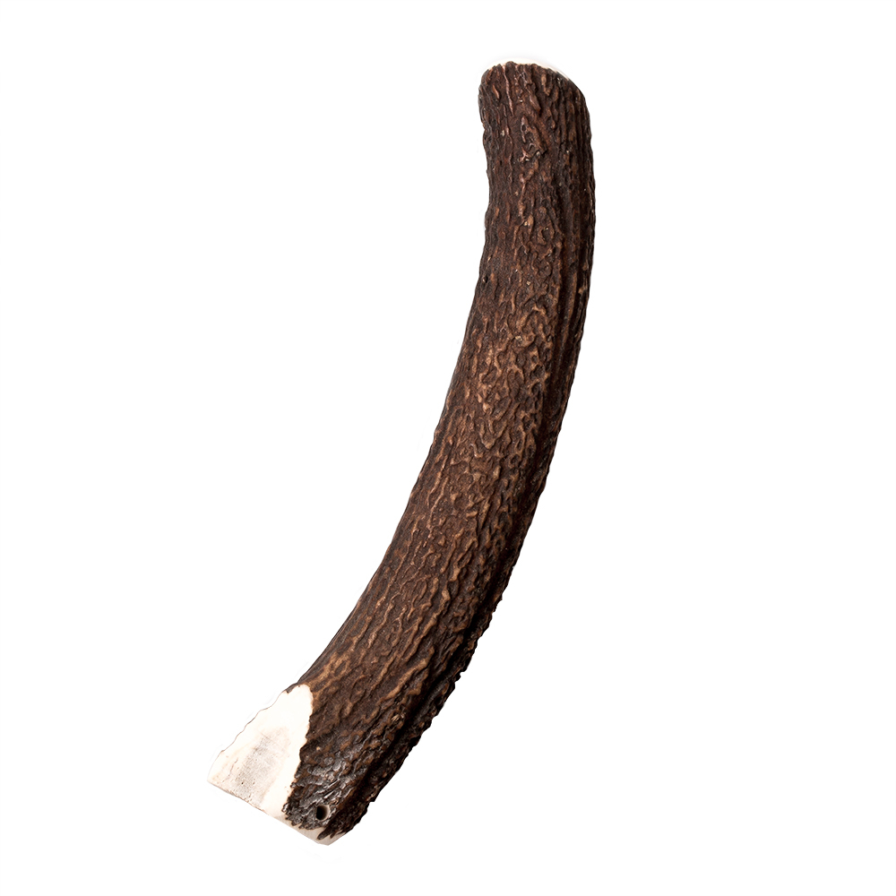 Wildes Land Geweihsnack Hirschgeweih Halb Gr. XL