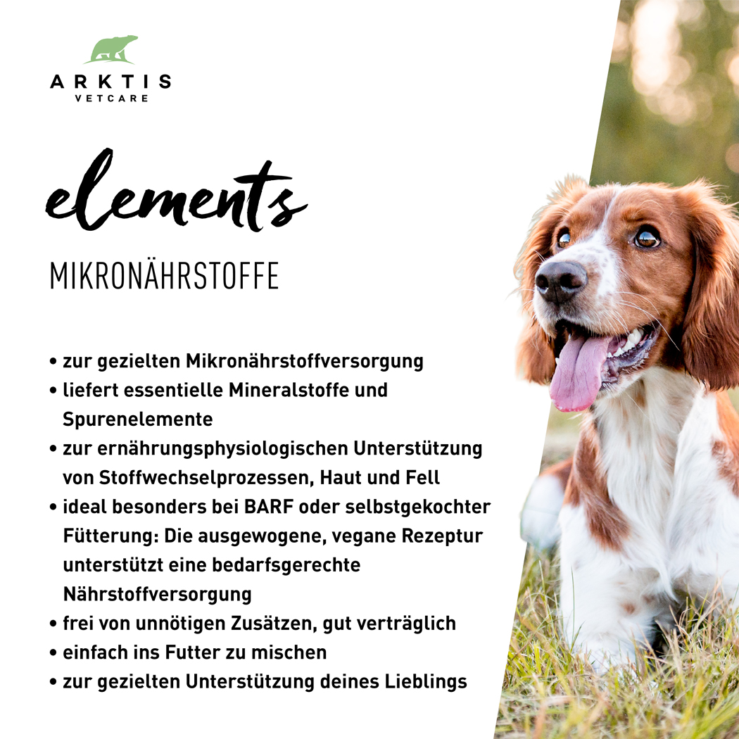 Mikronährstoffe, Hundeernährung, Vitalstoffe, Nährstoffversorgung, Futtermittel