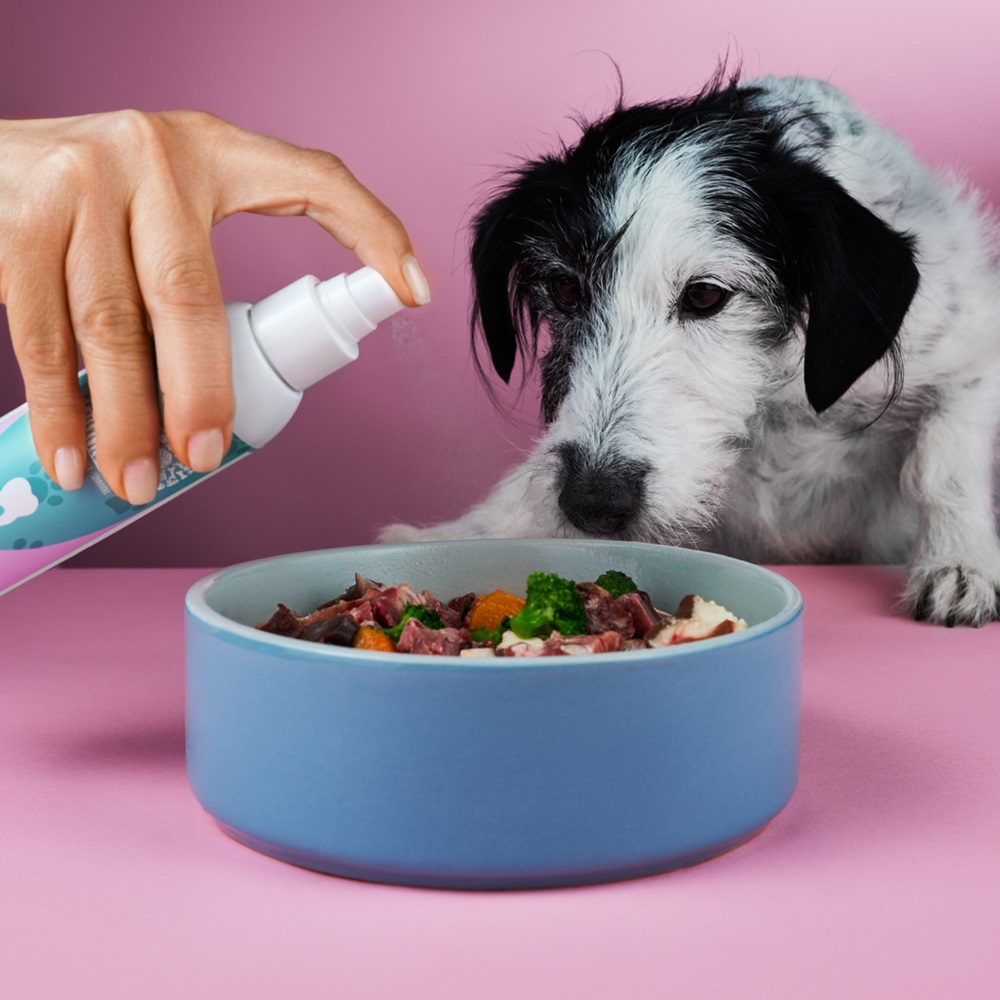 Hund, Hundenapf, Hundefutter, Futterspende, Hilfe