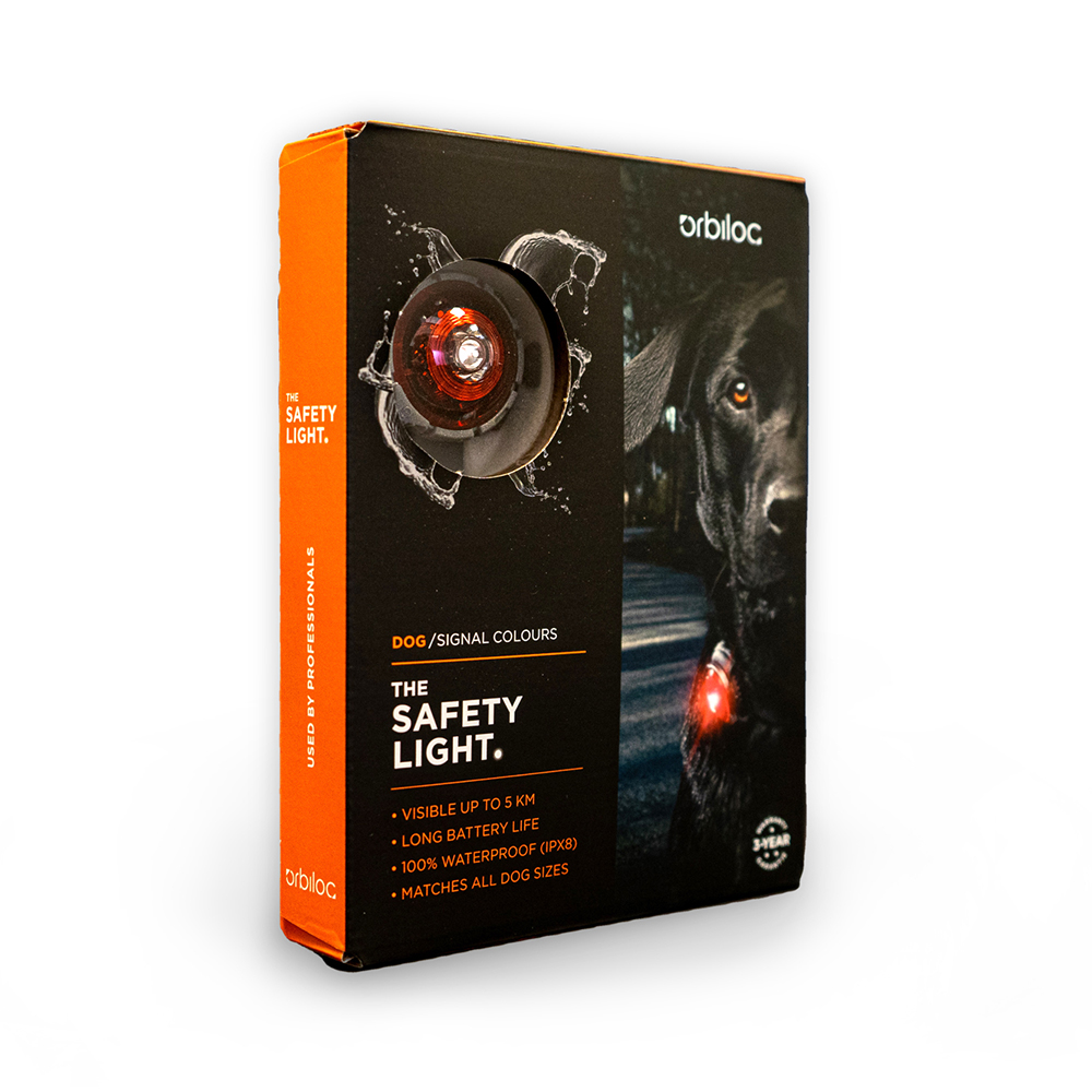 Tier, Hund, Säugetier, Haustier