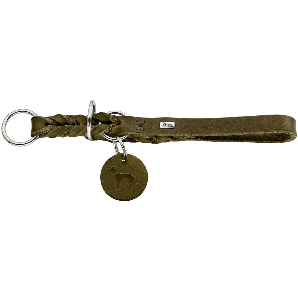 Halsband, Hund, Leder, Kette, Anhänger