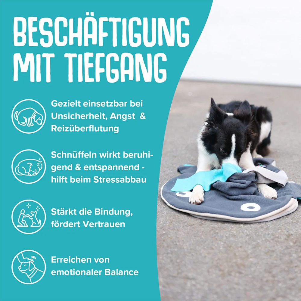 Werbung, Plakat, Hund, Säugetier, Haustier
