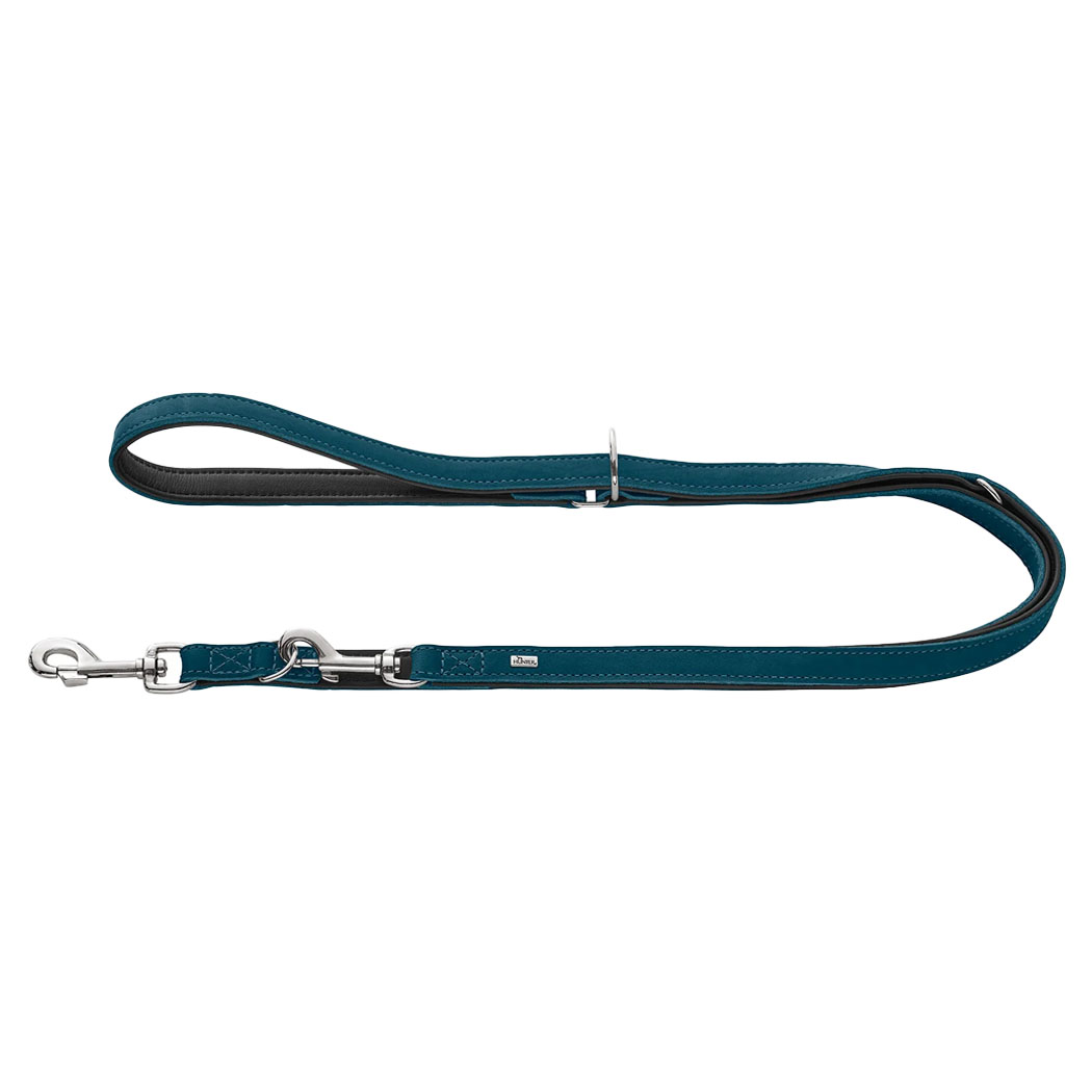 Halsband, Ledergurt, Teal, Kette, Pflegeband