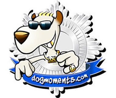 DogMoments DogMoments