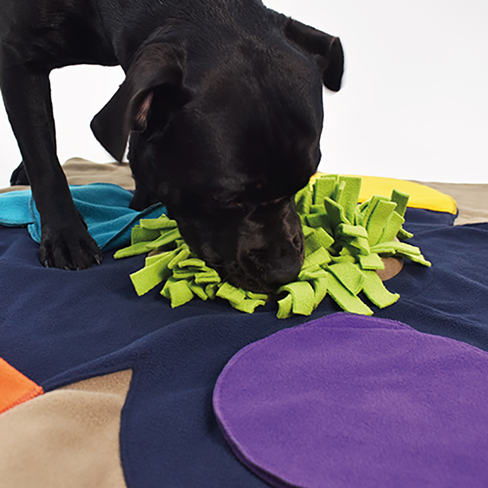 Hund, Spielzeug, Kuscheldecke, Fransen, Beißspielzeug