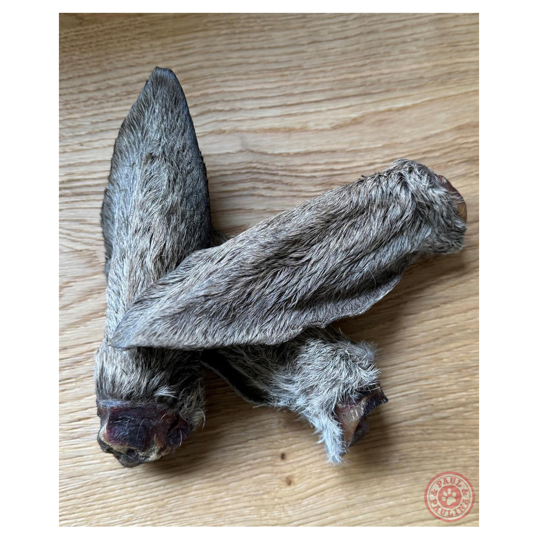 Kaninchenohren, Hundesnack, getrocknet, mit Fell, Naturkauartikel