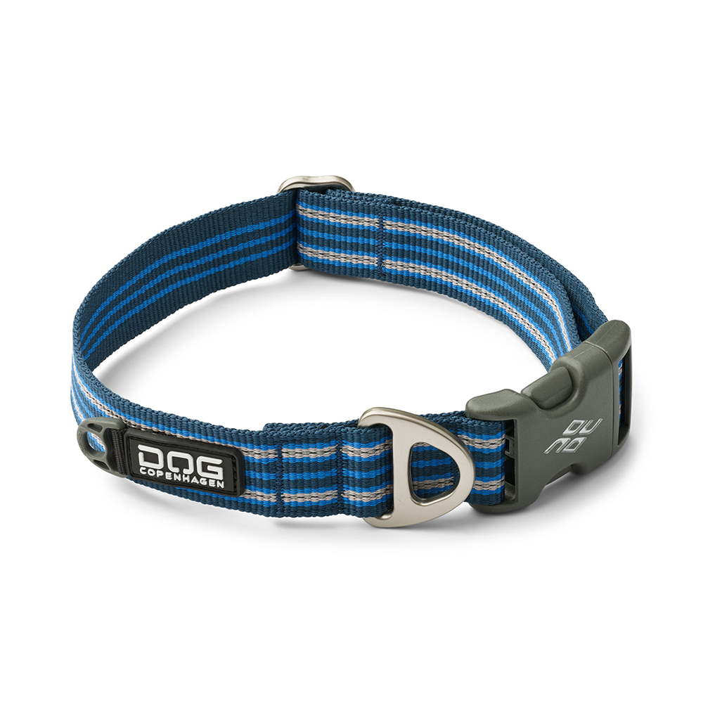 halsband, hunde, strap, metallring, klettverschluss