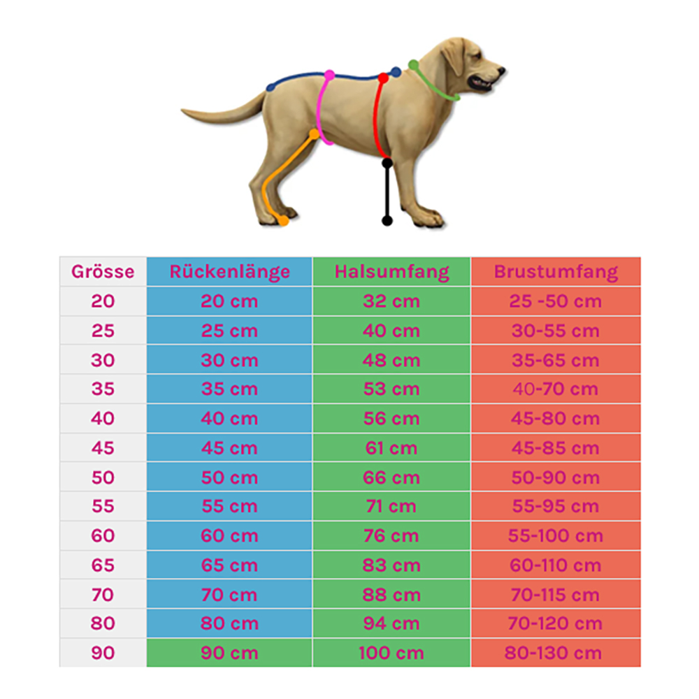 Hund, Haustier, Handlung, Zubehör, Riemen