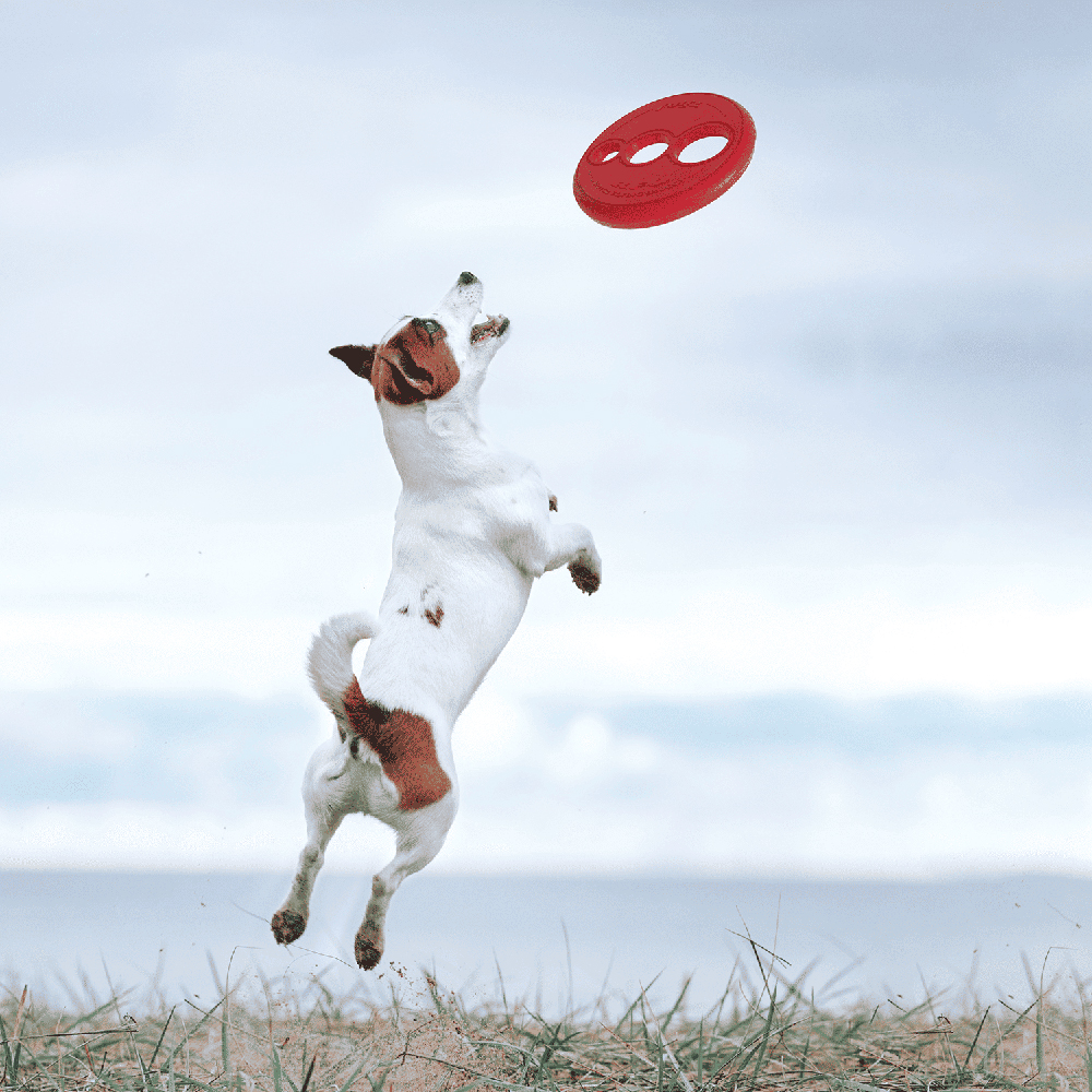 ROGZ Fetch Flying Toy Frisbee - div. Farben