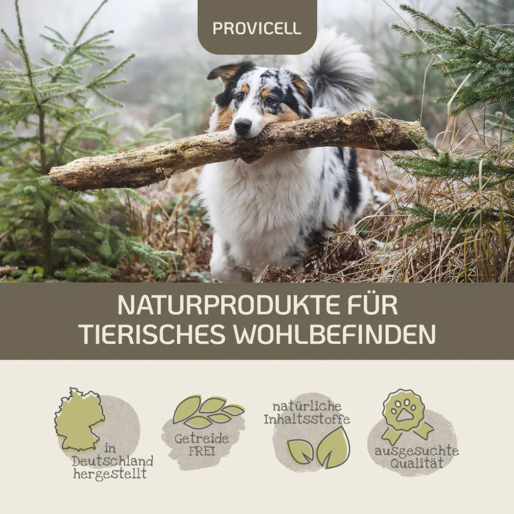 Tierprodukte, Getreidefrei, Natürliche Inhaltsstoffe, Hergestellt in Deutschland, Hund