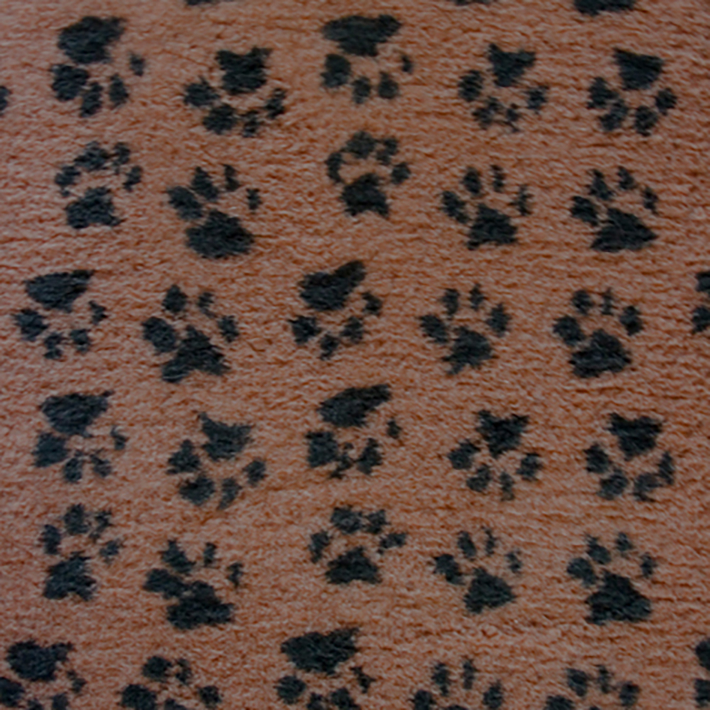Lackierpfoten-Muster, Tierpfoten, Trotzen-Textur, Putzen, Teppich