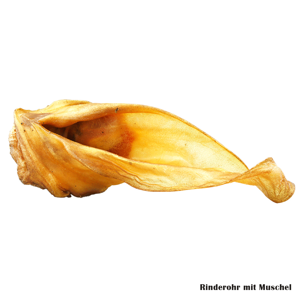 Rinderrohr, Muschel, Rinderrohr mit Muschel, Innereien?, Lebensmittel