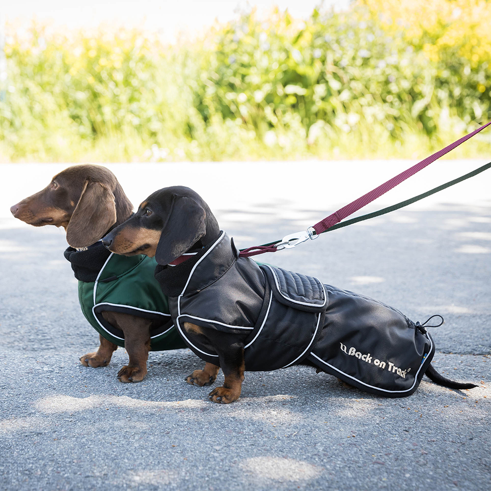 Back on Track Buddy Hundemantel lang blau