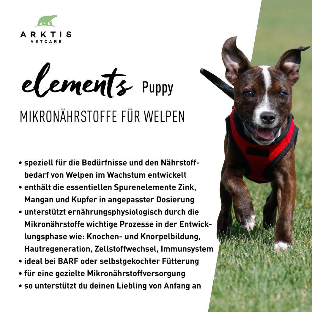 Hundehalsband, Puppy, Mikronährstoffe, Welpenfutter, Körnerfrei