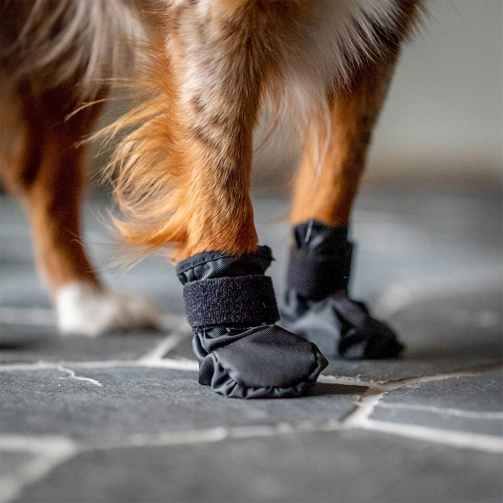 Hundehausschuhe, Pfotenschutz, Gehschuhe, Klettverschluss, Stiefelchen