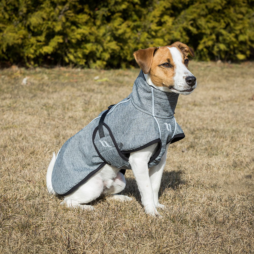 Hundemantel, Hundeweste, Grau, Kleidung, Outdoor