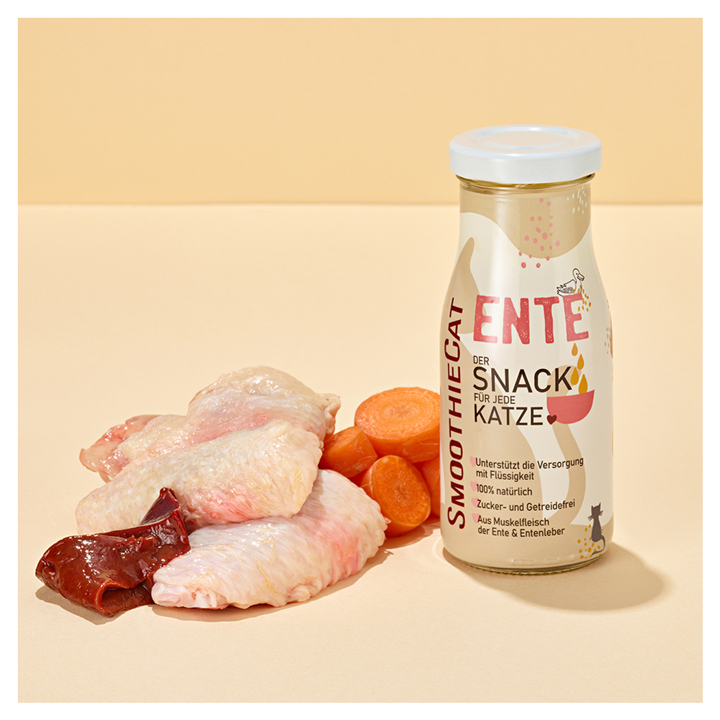 huhnflügel, hühnerfleisch, karotte, milchgetränk, snack