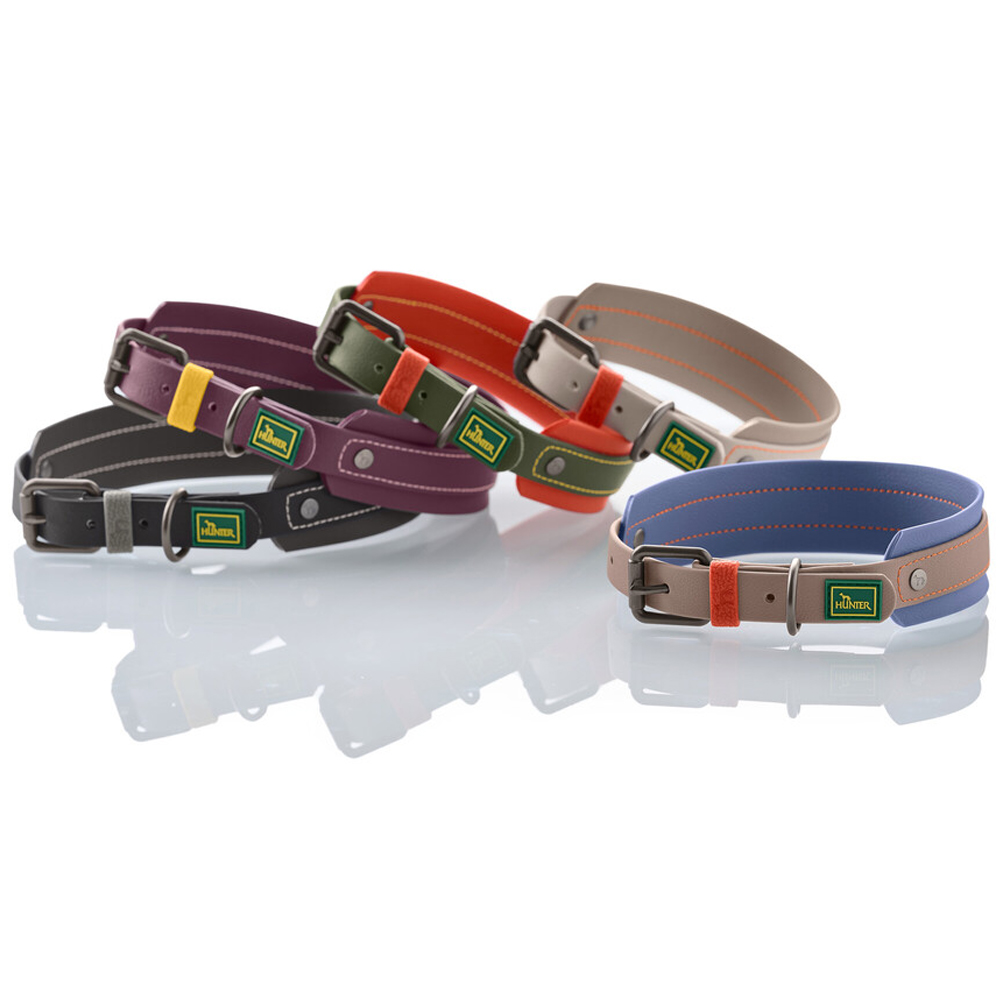 Halsband, Leder, Farbig, Verschiedene Farben, Klickverschluss
