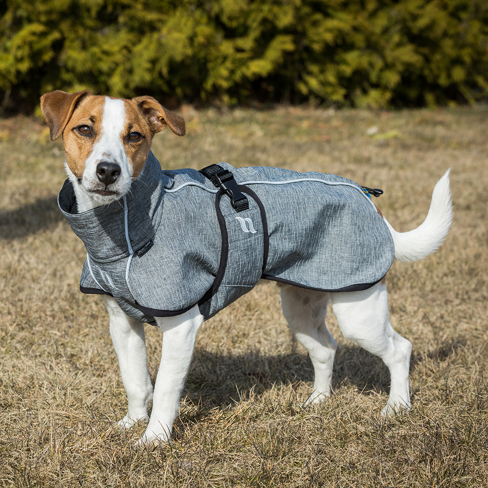Kapuze, Hundemantel, grau, Tierkleidung, verstellbare Gurte