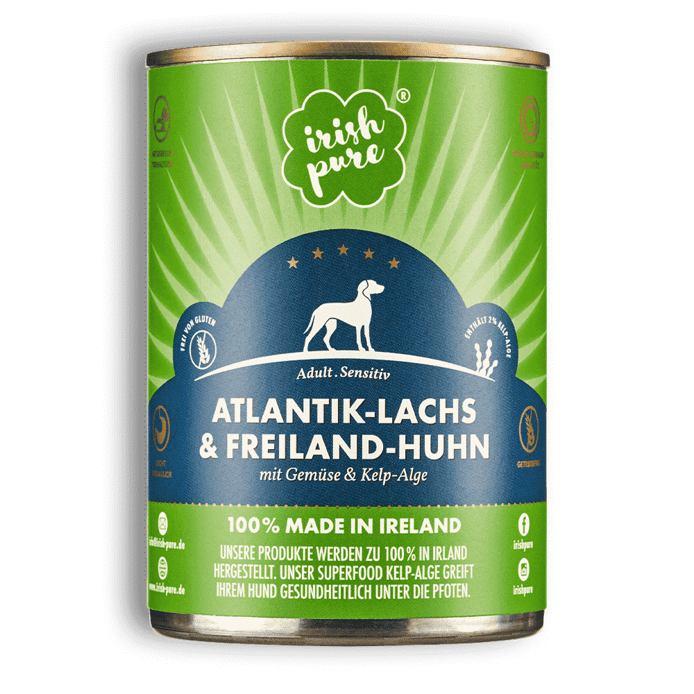 Irish Pure Nassfutter Atlantik-Lachs & Freiland-Huhn Gemüse & Kelp-Alge 390g