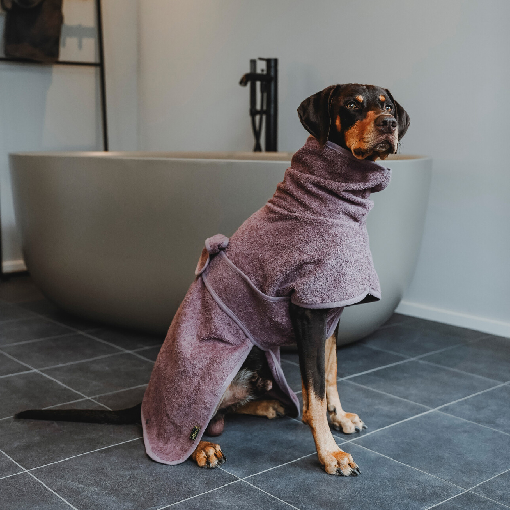 Hund, Tier, Trockentuch, Wassertuch, Bademantel-Hund