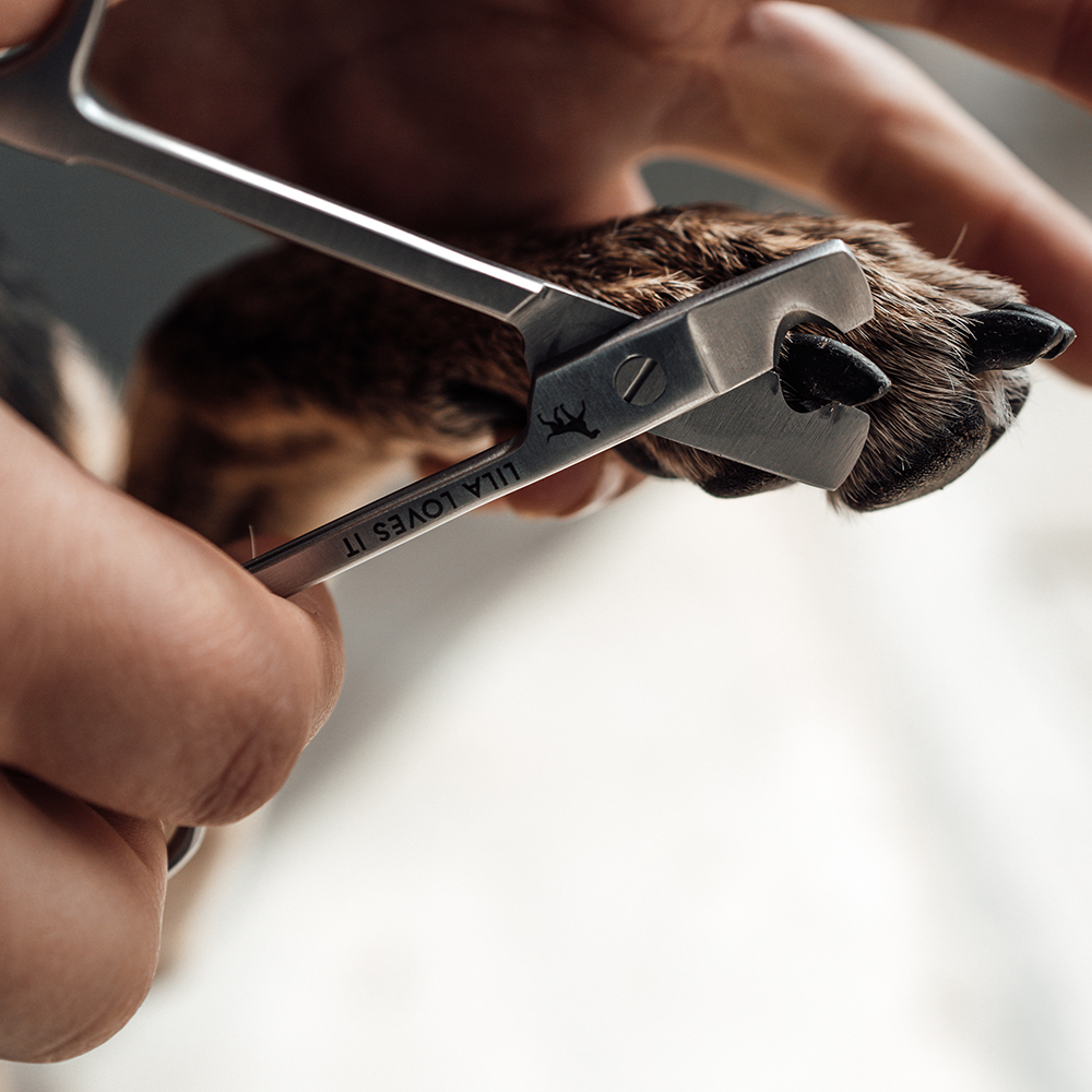 Finger, Person, Friseur, Hardware, Haarschnitt