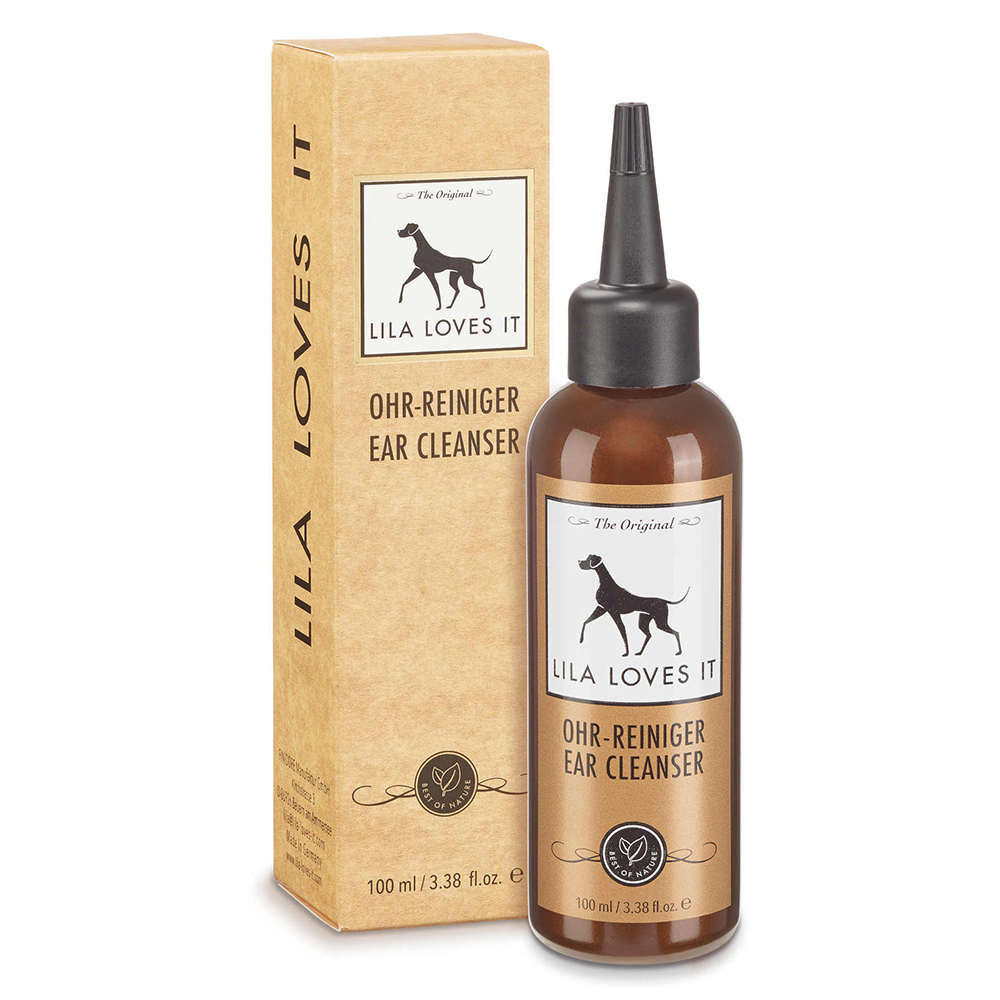 Flasche, Hund, Säugetier, Haustier