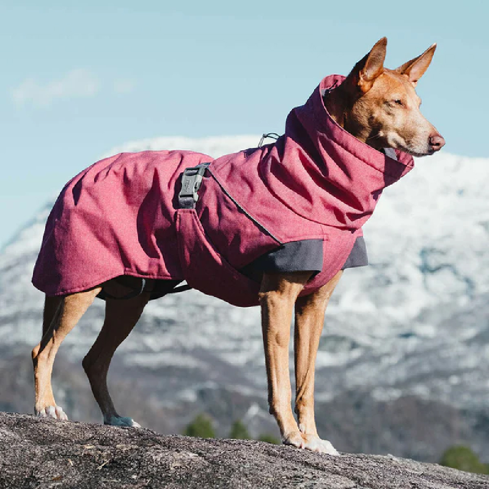 Hundemantel, Wintermantel, Gefütterter Mantel, Verschlussgurt, Pinke Farbe