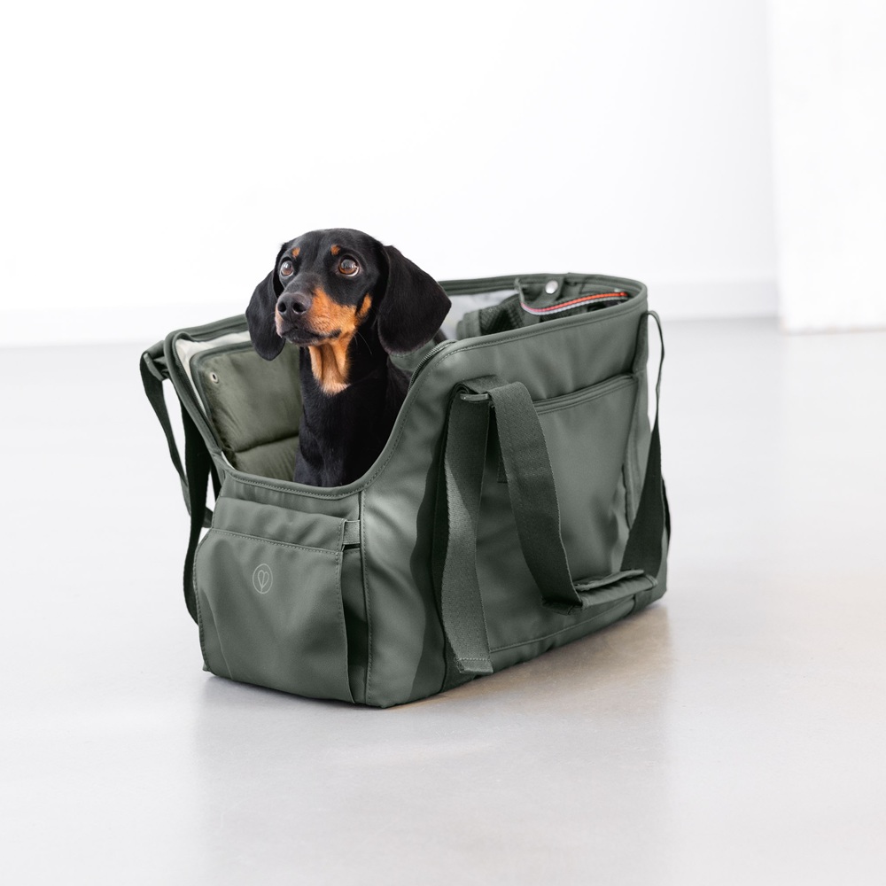 Externer Tasche, Hund in Tasche, grüne Tasche, Haustier-Tragetasche, Schultergurt