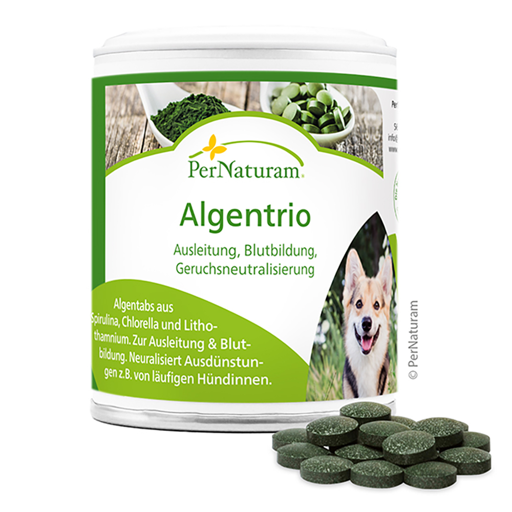 Algentrio, Hunde Nahrungsergänzung, Blutbildung, Geruchsneutralisierung, Spirulina Chlorella Lithothamnium