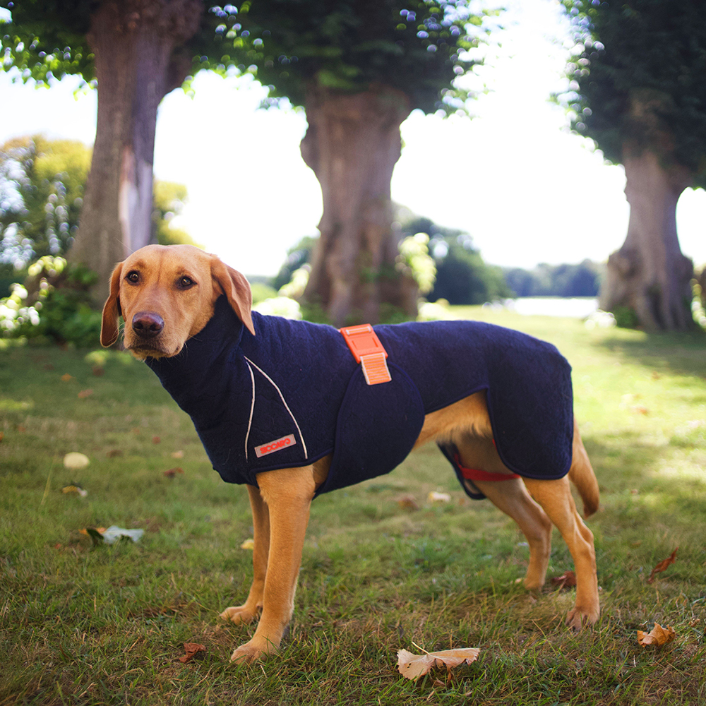 Hund, Winterjacke, Navy, Hundeweste, Garten