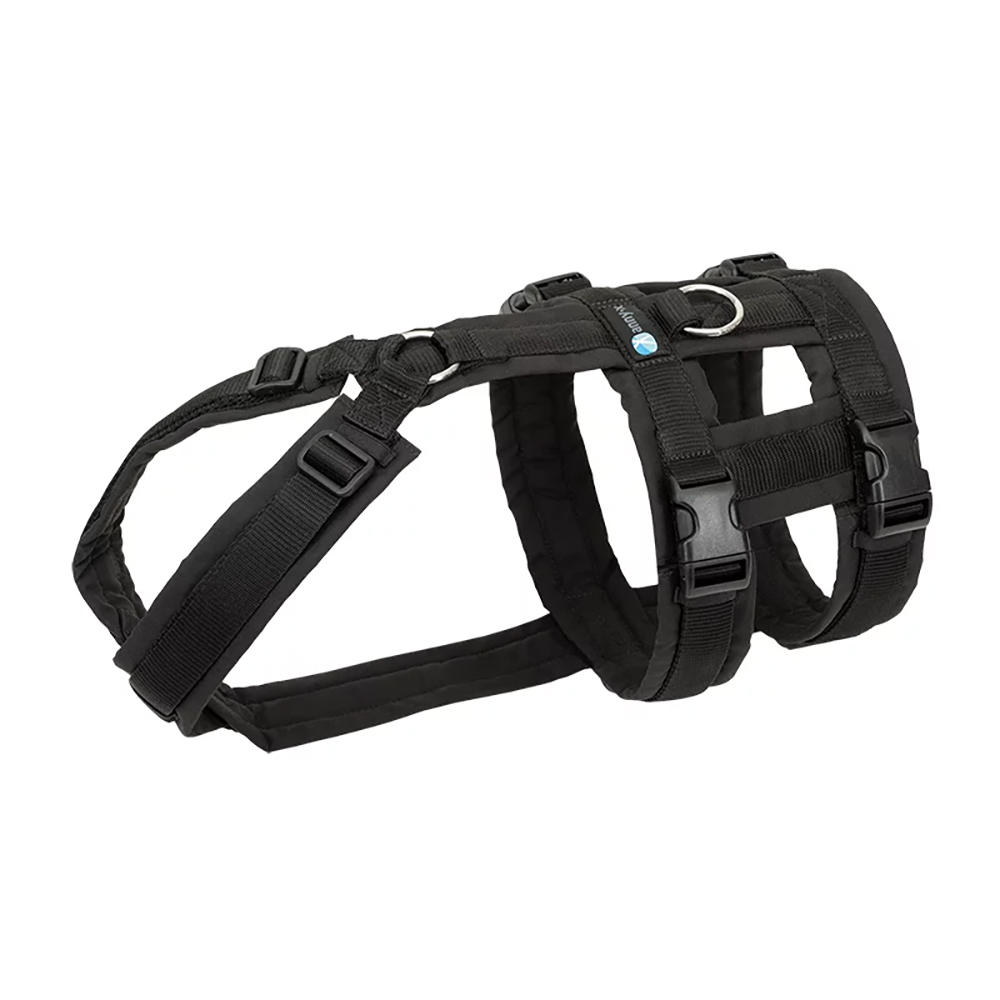 Halsband, Hundegeschirr, Nylon, Schwarz, Gurtband