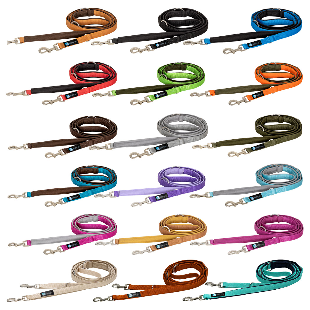 leinehalsband, hundeleine, spannkabel, farbig, leinen