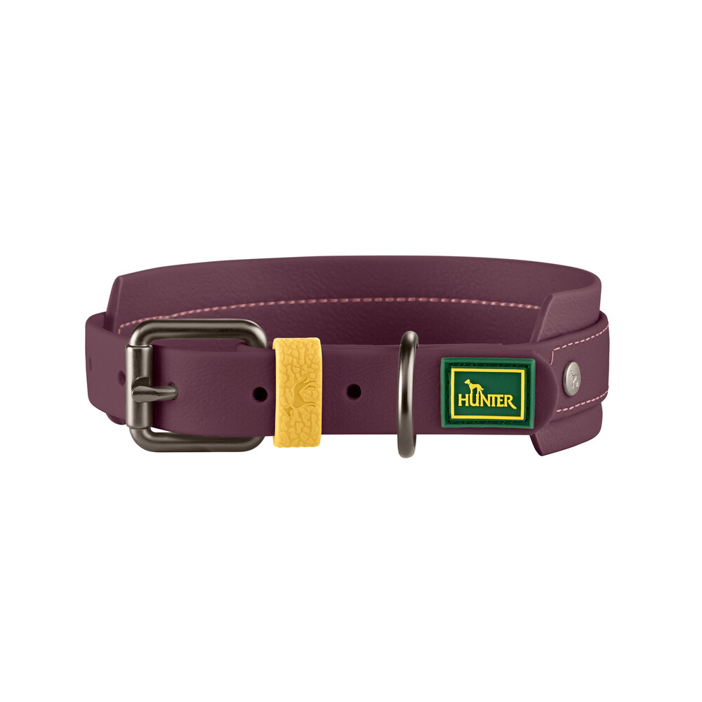 collar, HundeHalsband, lila, gelbe Schlaufe, Hunter-Logo