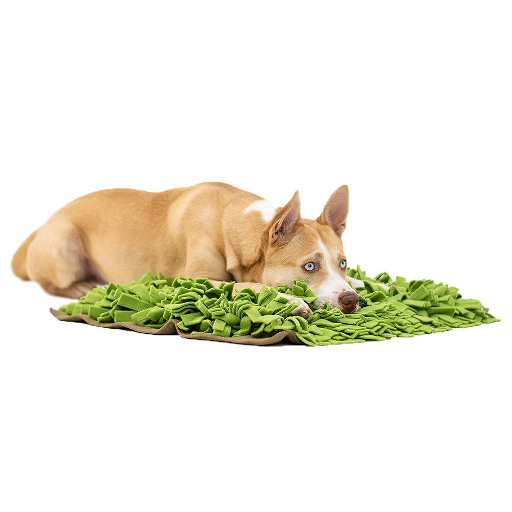 Hund, Hund, Kunstpelz, Grasdecke, Hunde-Spielzeug?