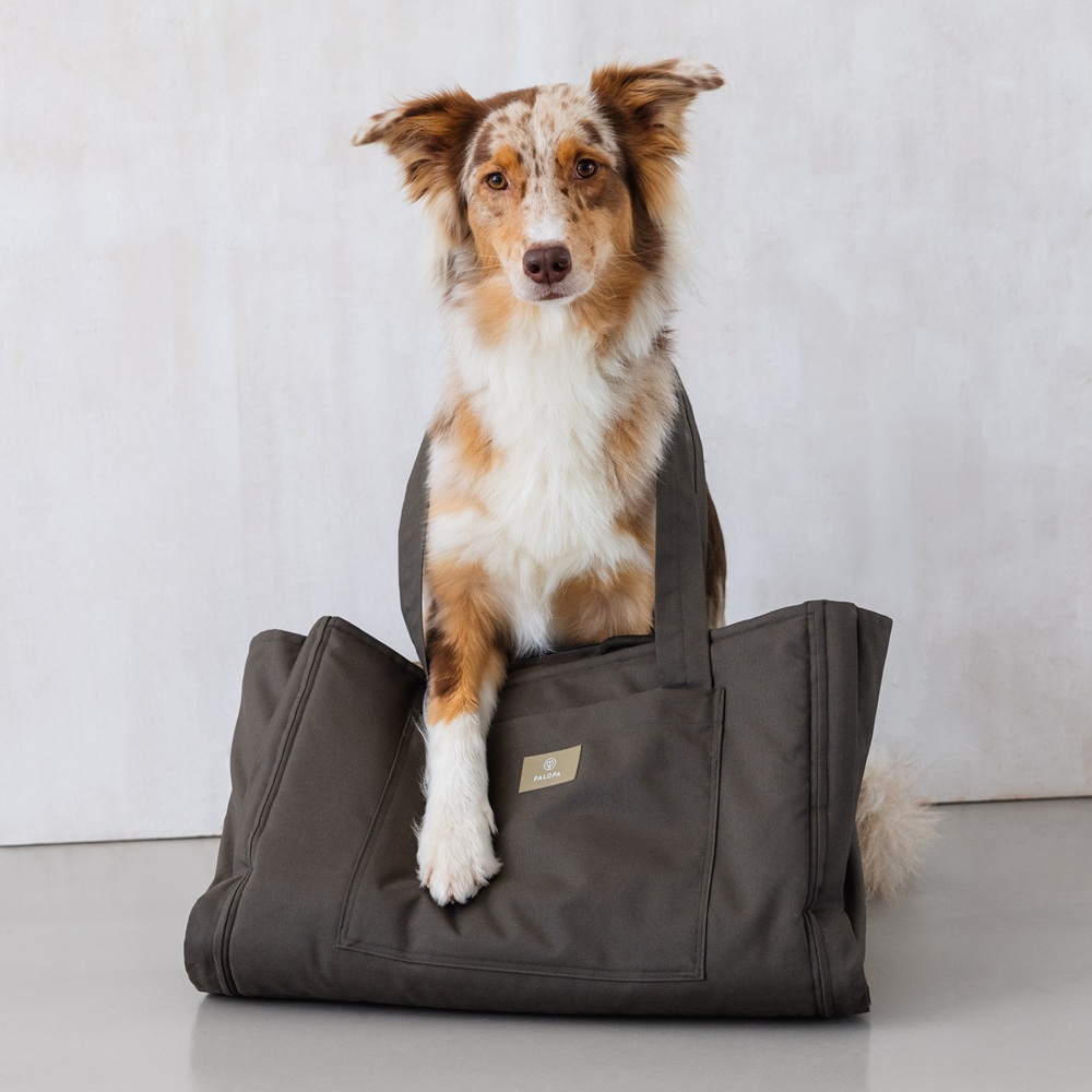 Hund, Dog, Transporttasche, Tragetasche, Hundetasche