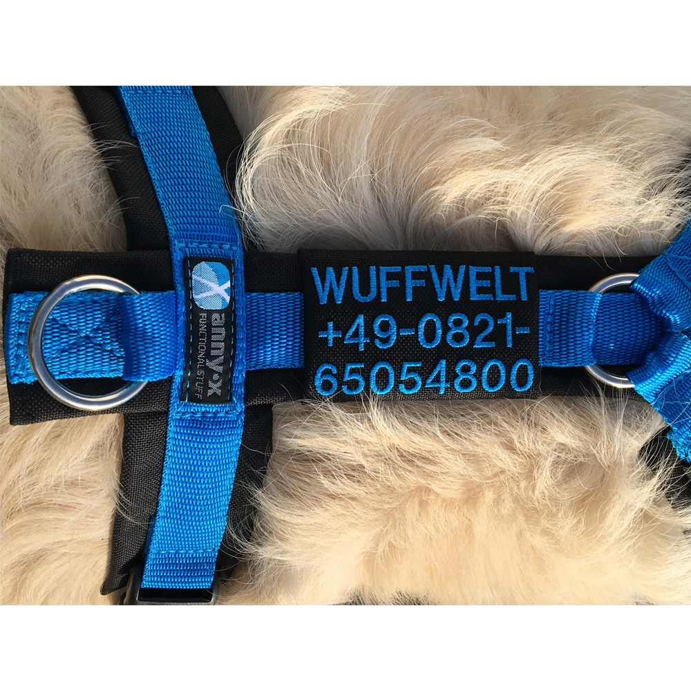 harness, dog, fur, blau, namensschild