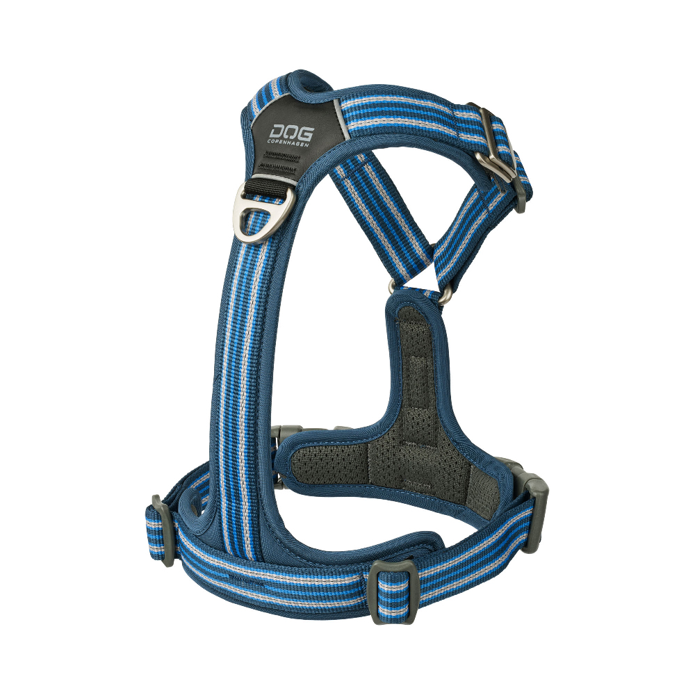 Hundehalsband, Starkes Halsband, Gesteppt, Blau gestreift, Gurtband