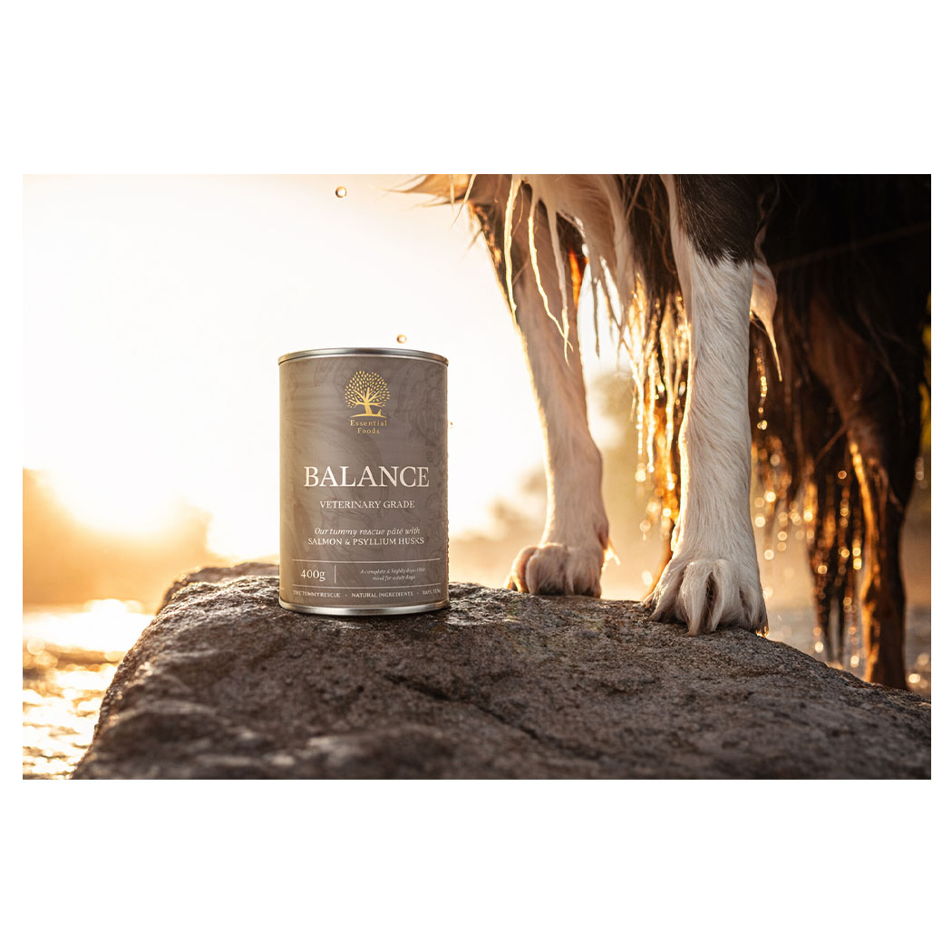 Hundepürre, Tiernahrung, Balance, 400g, Tonband?