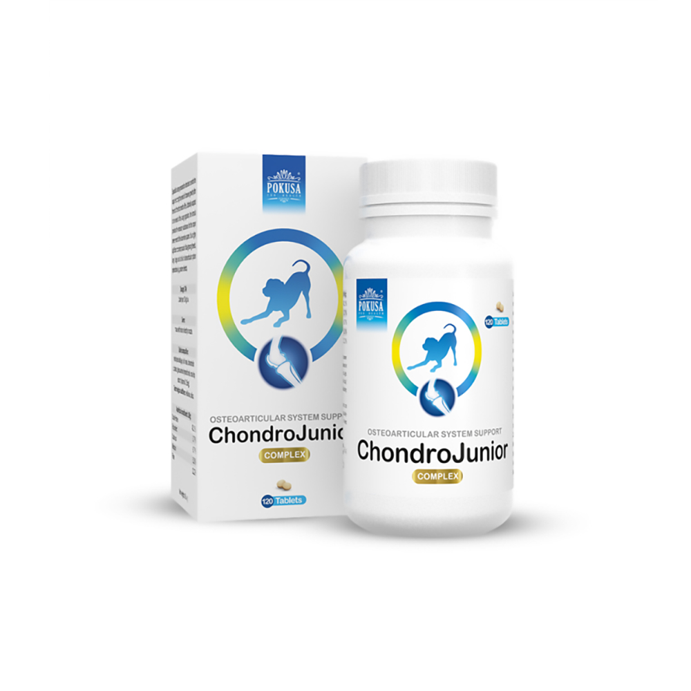 POKUSA ChondroJunior Gelenktabletten 120 Tabletten Flasche
