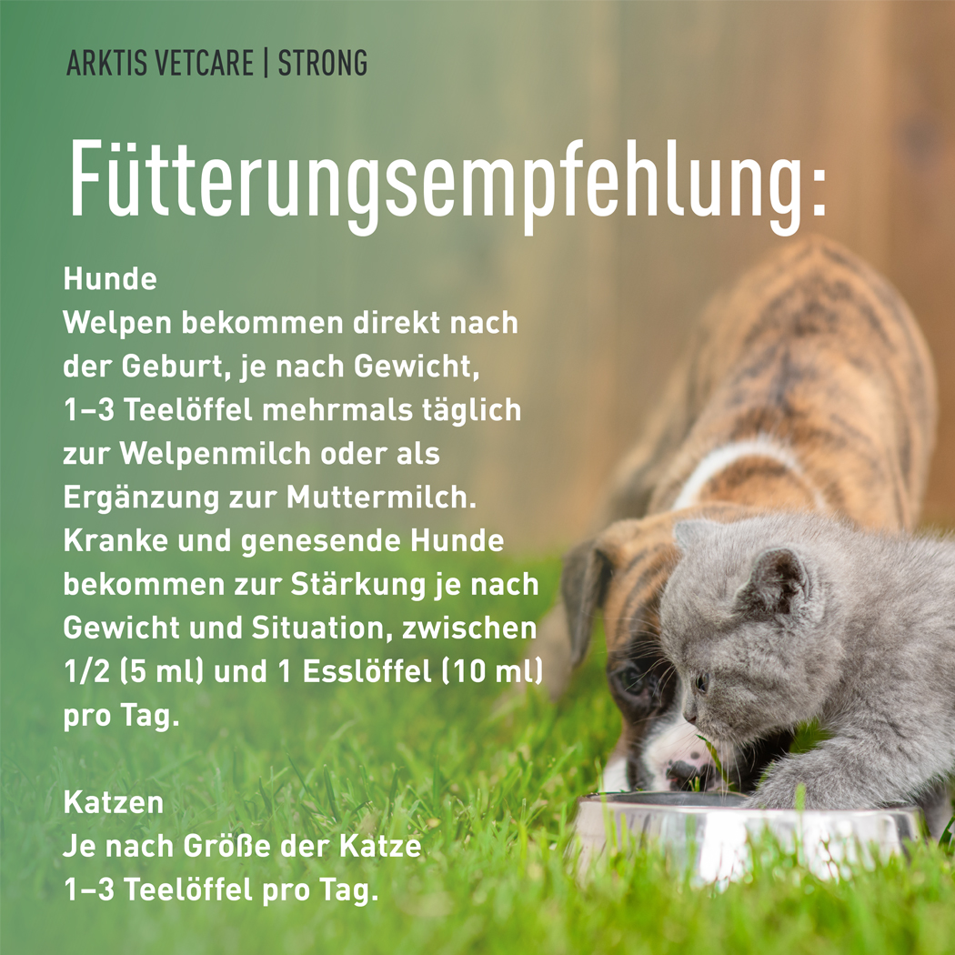 Haustier, Katzenfutter, Tierfutter, Katzennahrung, Futterempfehlung