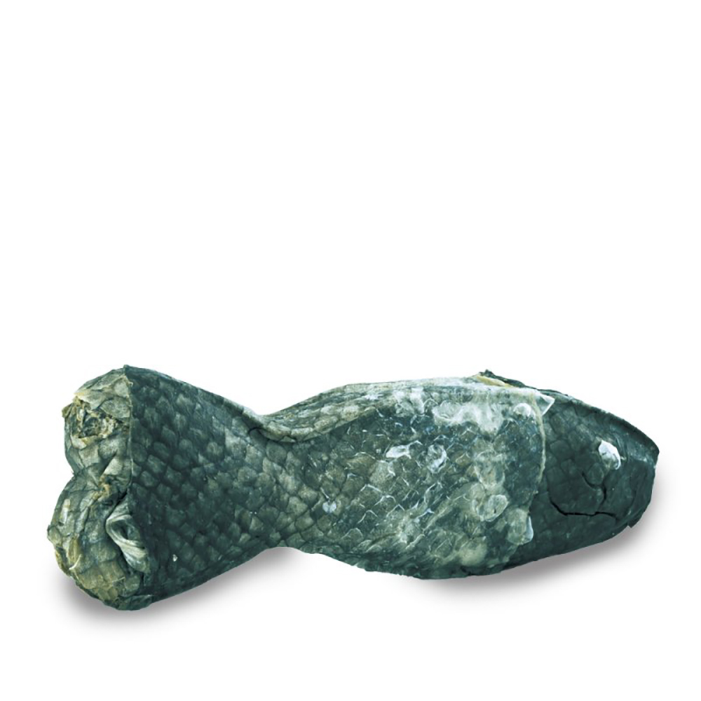 Rock, Figur, Formelle Kleidung, Krawatte, Schildkröte