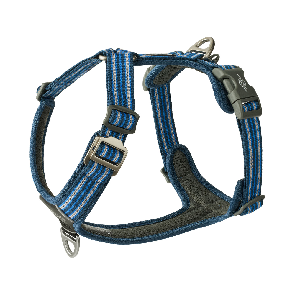 Hundehalsband, Katzenhalsband, Strap-Halsband, Blau gestreift, Gurtband